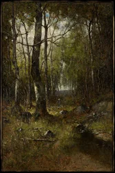 Temple Woods, 1882